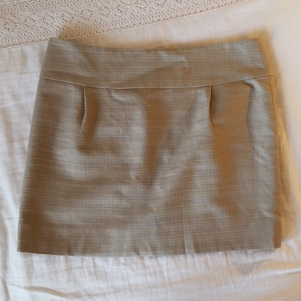 J.Crew Tan Skirt